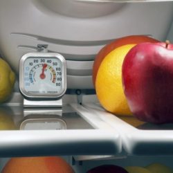 Viruses can survive refrigerator and freezer temperatures.