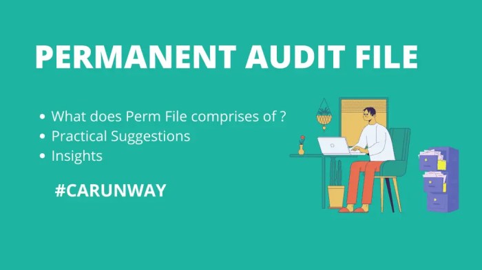 Audit permanent during