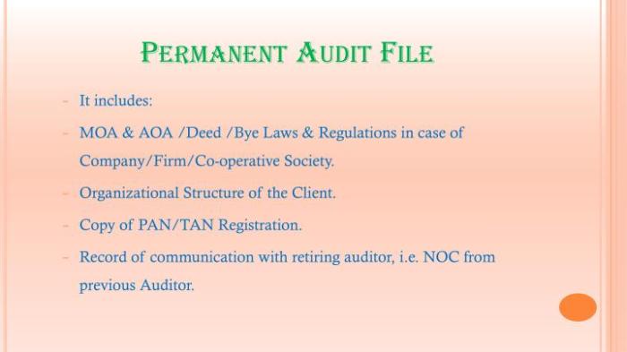 Audit documentation